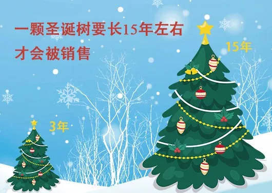 中國最早報道圣誕節(jié)的竟是《人民日報》，你不知道的10個圣誕小知識